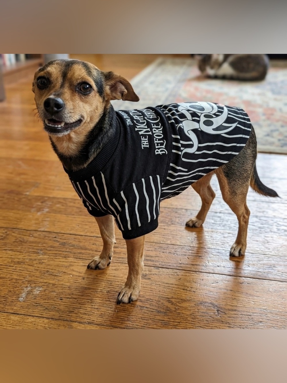 Pet spirit jersey “The Nightmare Before Christmas" Size XS
